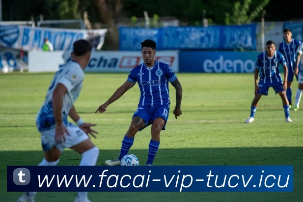 华体会体育APP 封面图